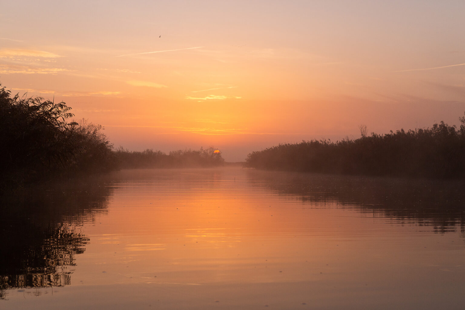 Leuchtend orangener Sonnenuntergang über der Peene