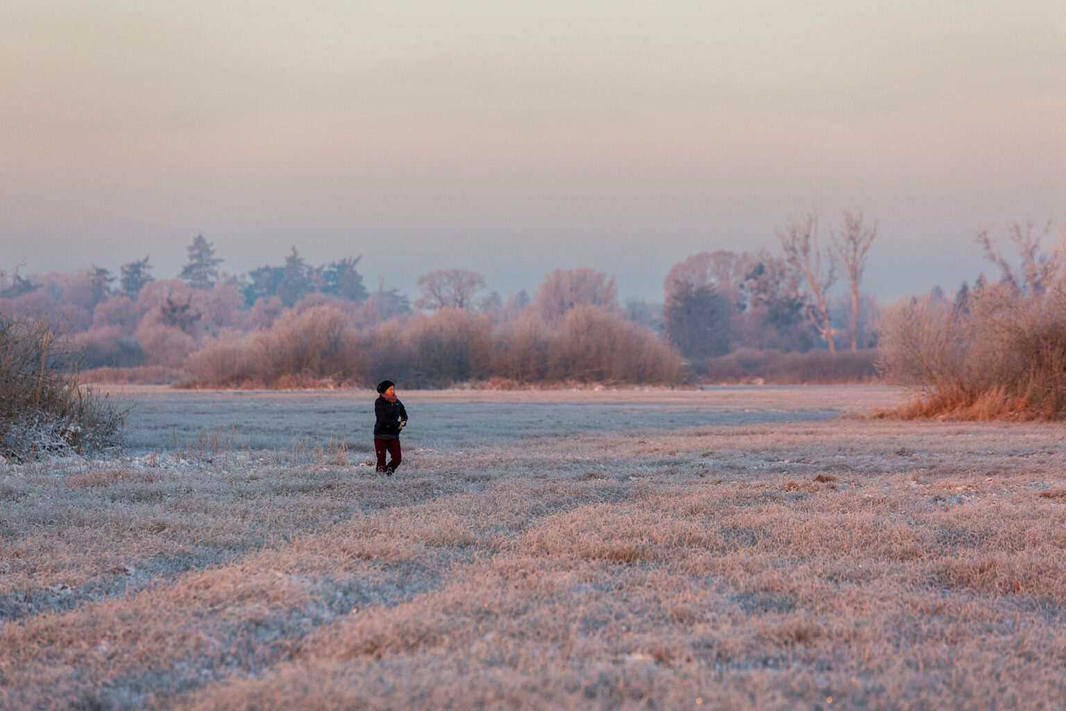 Spaziergänger bei Raureif auf dem Feld in der Morgendämmerung - Neukalener Wiesen