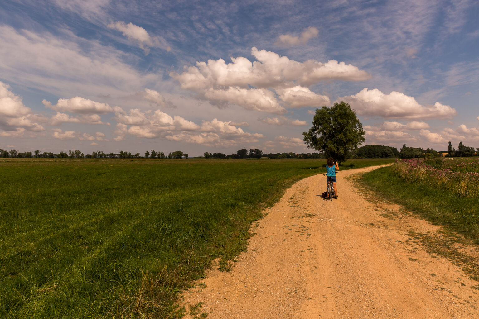 Radweg auf dem Radrundweg um den Kummerower See