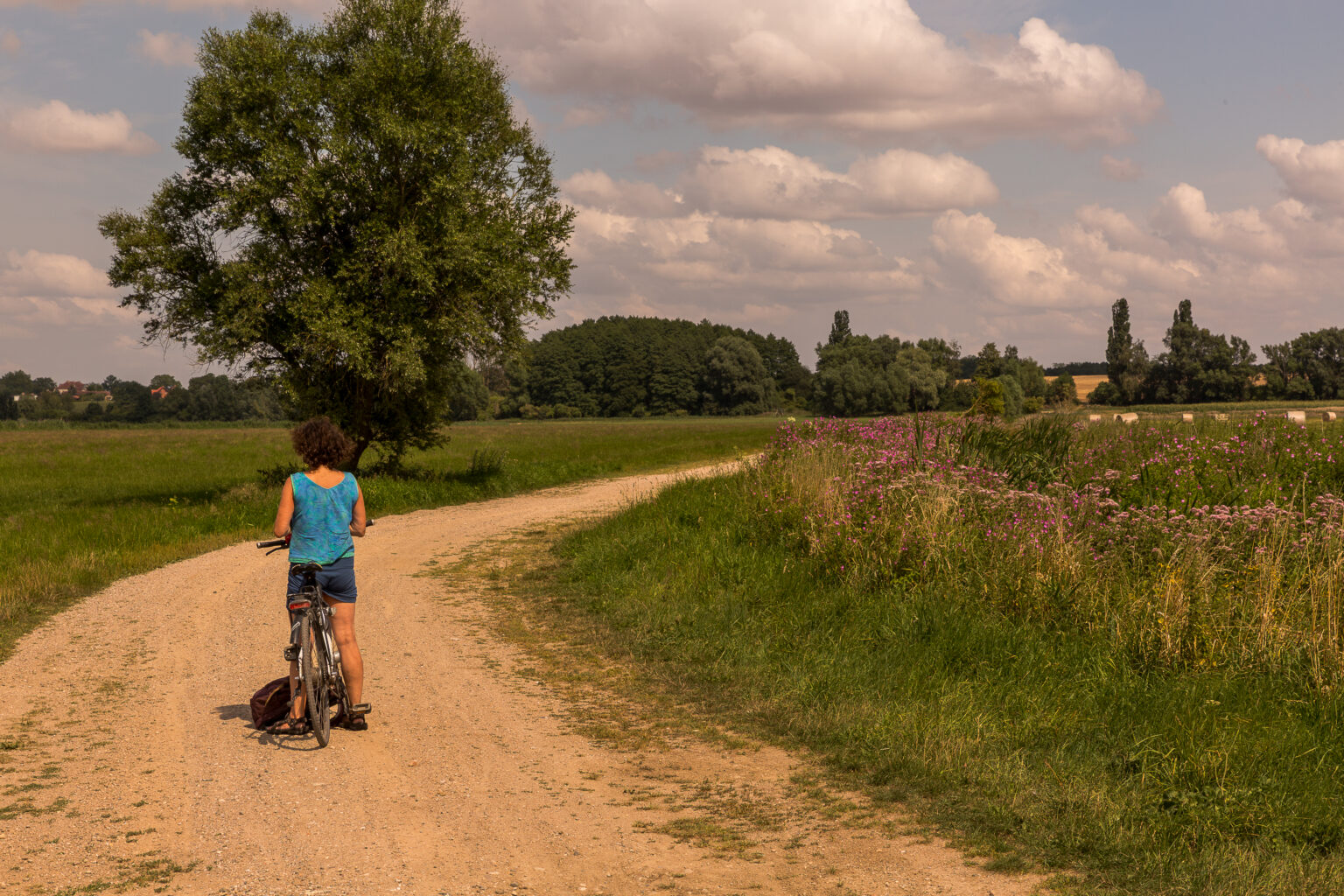 Radfahrer auf dem Radrundweg um den Kummerower See