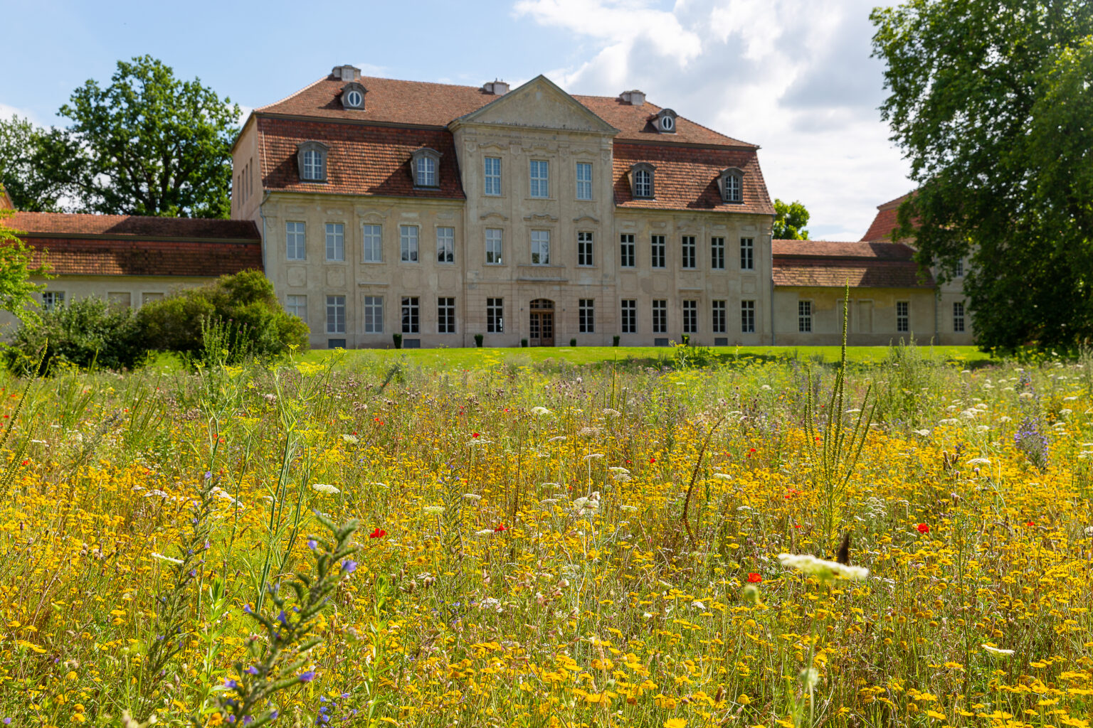 Schloss Kummerow mit Wildblumenwiese im Vordergrund