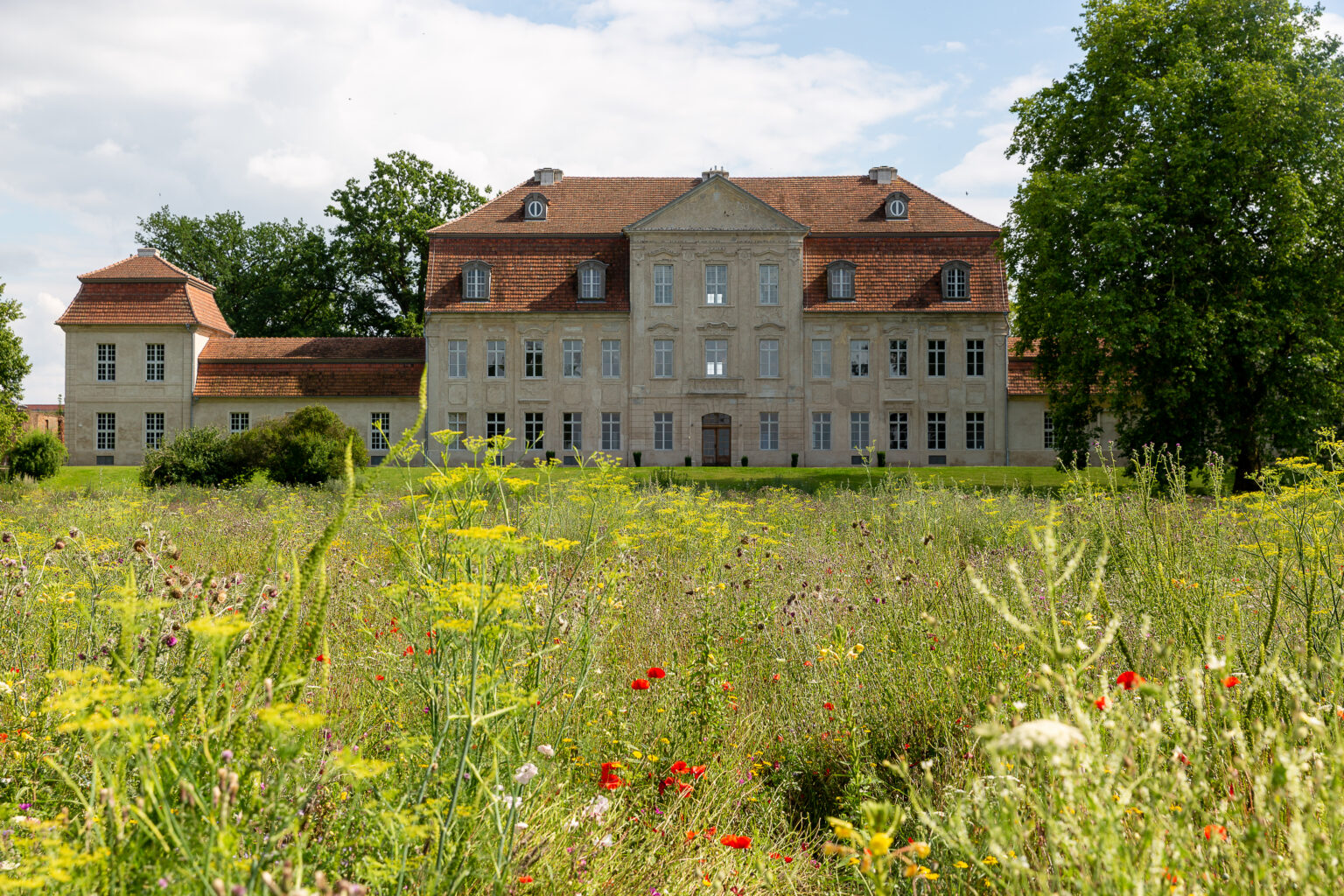 Schloss Kummerow hinter einer bunten Wildblumenwiese