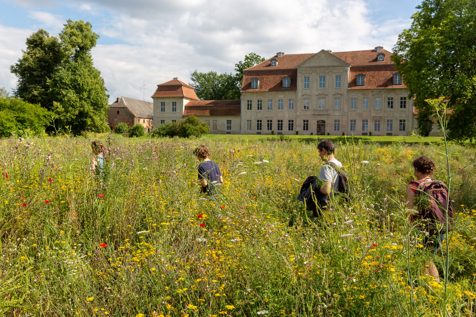 Spaziergänger auf der Wildblumenwiese vor Schloss Kummerow