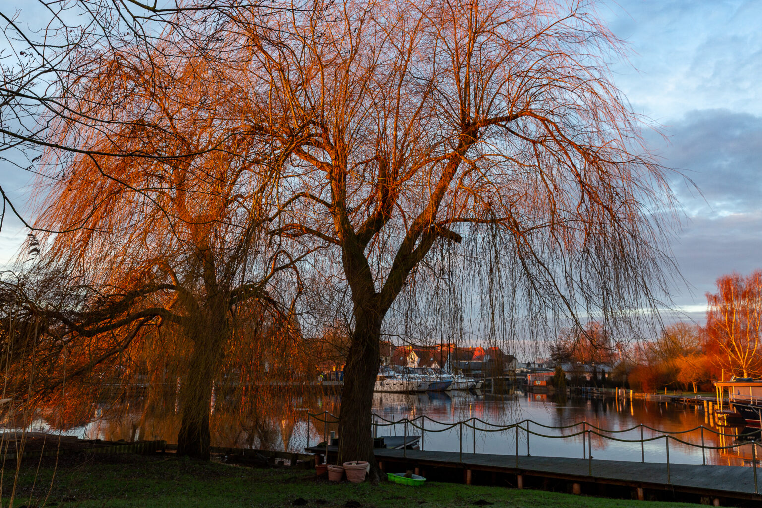Neukalener Hafen im Abendlicht