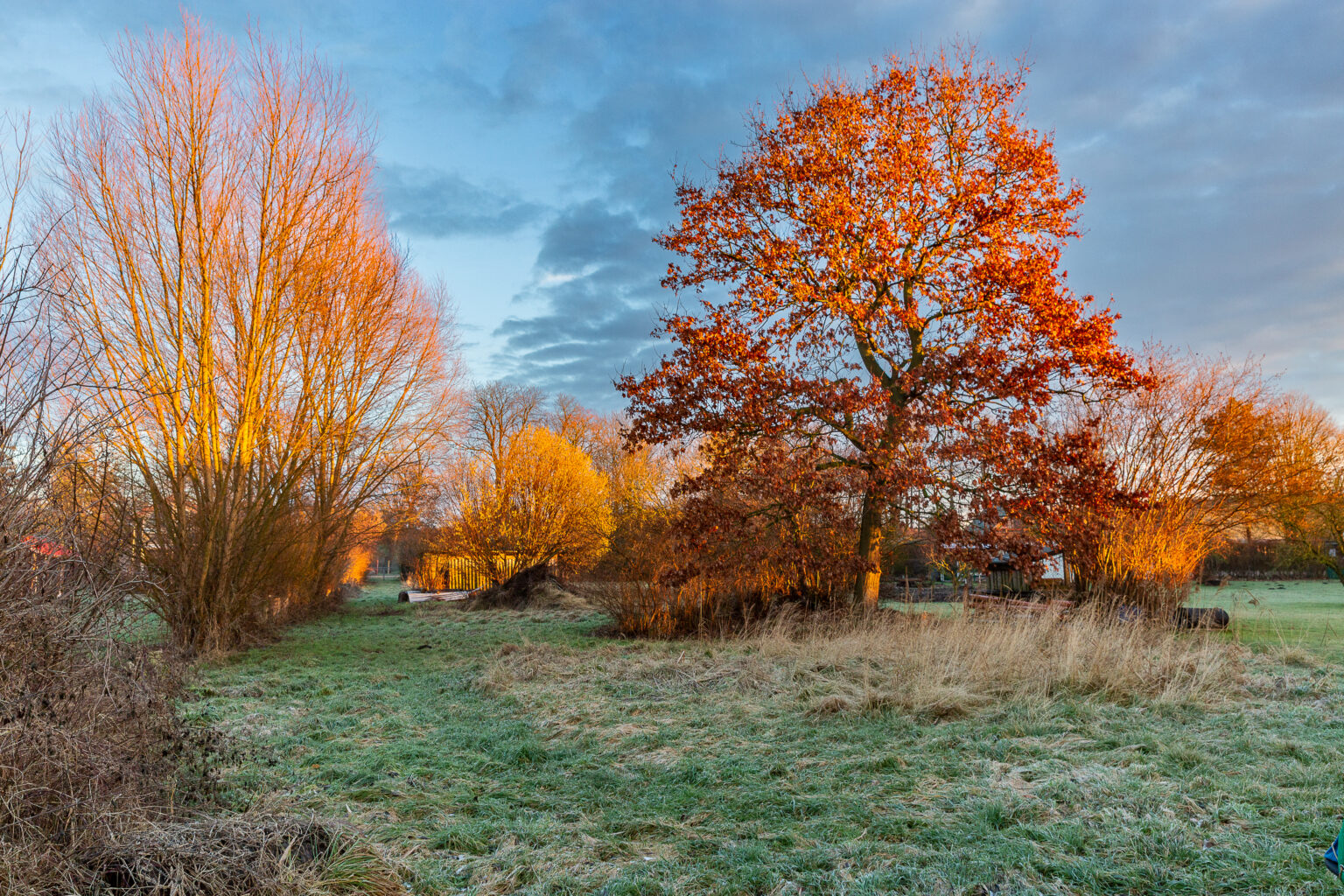 Garten des Ferienhauses