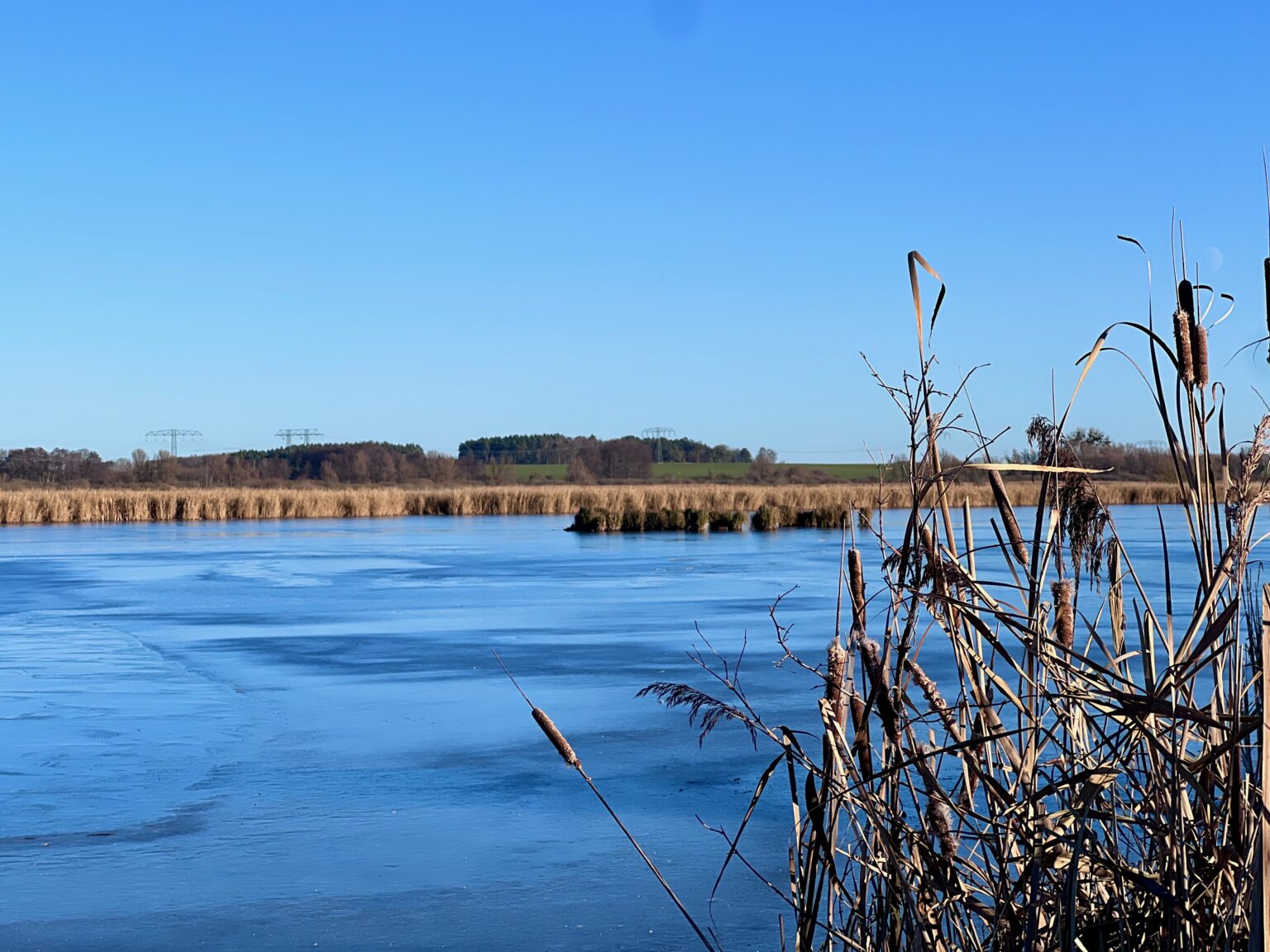 Weiter Blick über die zugefrorene Peene