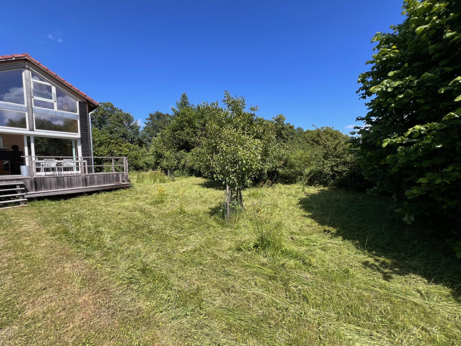 Ferienhaus, Blick in den Garten
