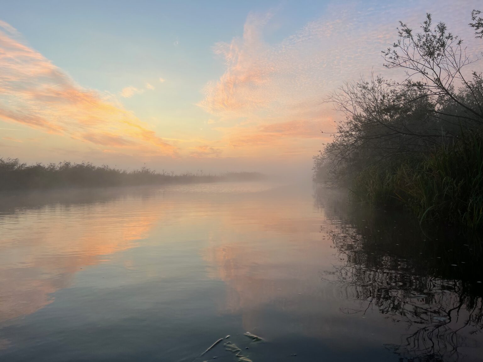 Uferlandschaft der Peene im Morgenlicht mit Nebel