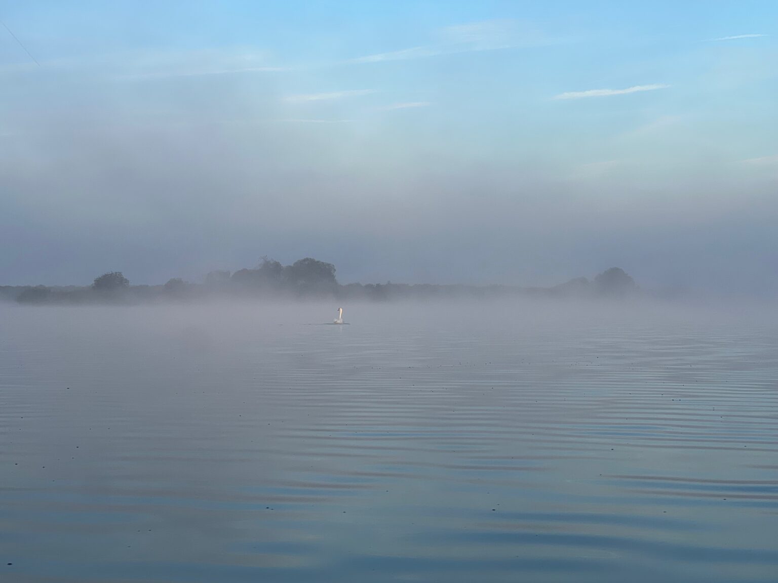 Nebel am frühen Morgen über dem Kummerower