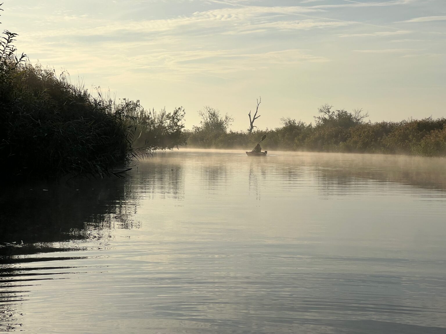 Paddelboot auf der Peene im Morgennebel