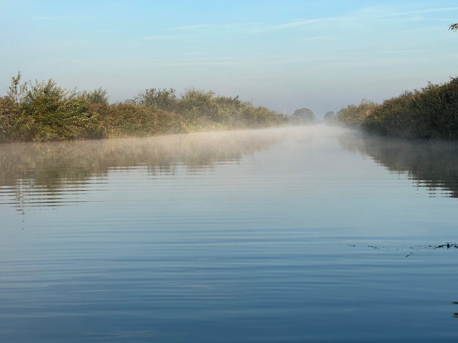 Peene im Morgennebel, spiegelglatte Wasseroberfläche