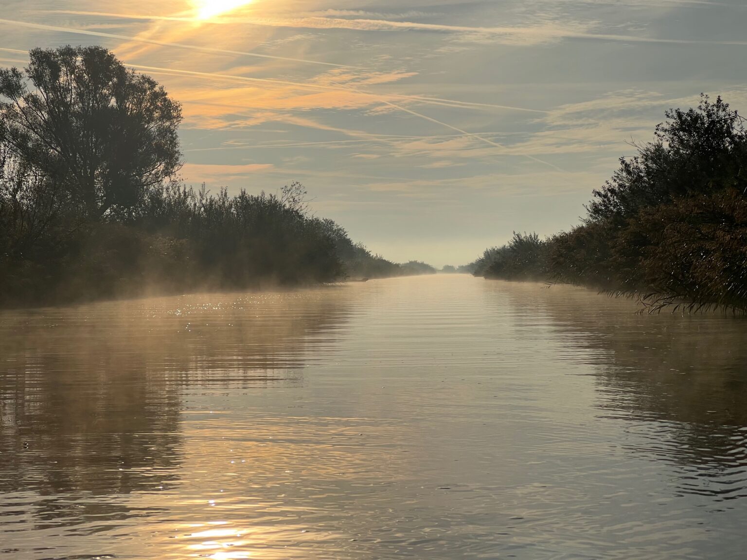 Nebelstimmung über der Peene im Morgenlicht